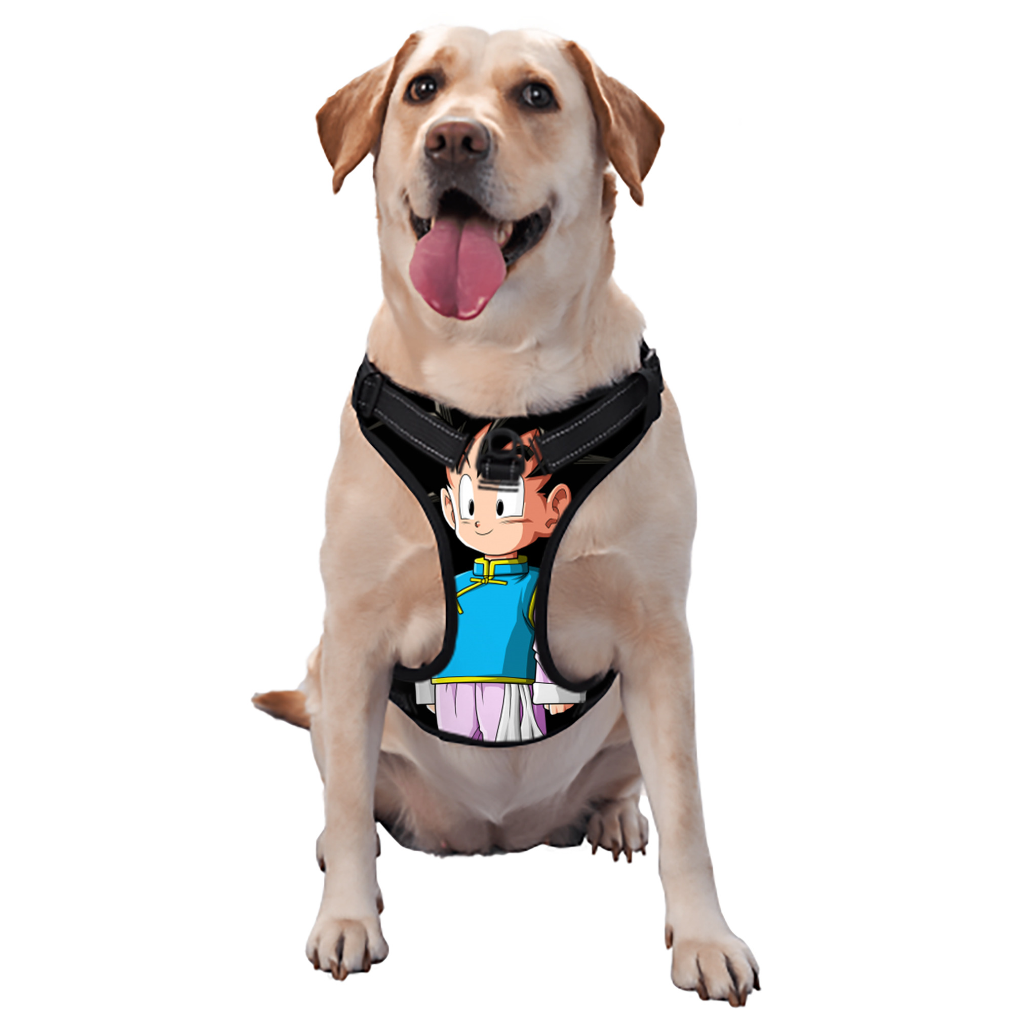 （画像用） ドラゴンボール 孫悟空（そん ごくう）Son Goku カカロット DRAGON BALL Kakarotto ペット用ハーネス